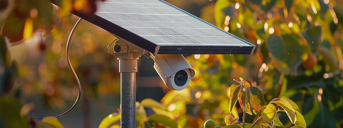 Solar Powered Security Cameras: What You Need to Know